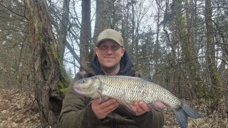 F�rna 2,520 kgHenrik Alp