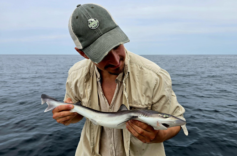 229463