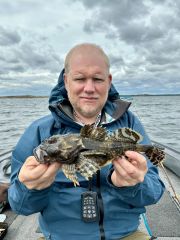 229938